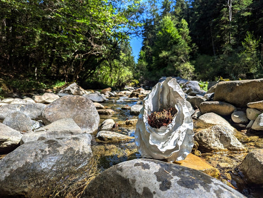 Our Favourite Place on Earth: Zagori