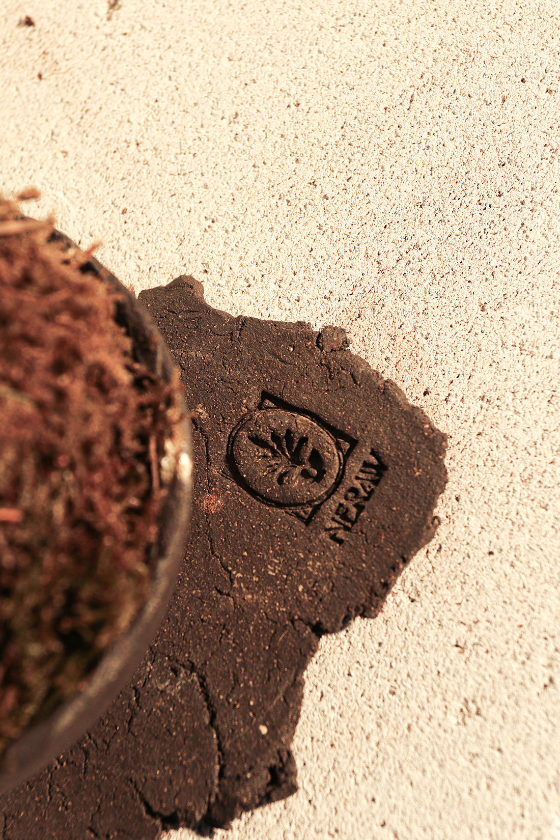 Kokedama Dracaena Sanderiana & Ceramic Plate