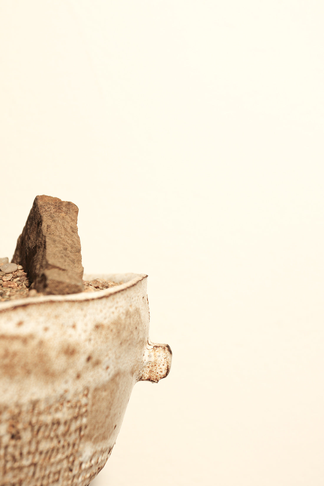 Euphorbia Horrida Rock Garden