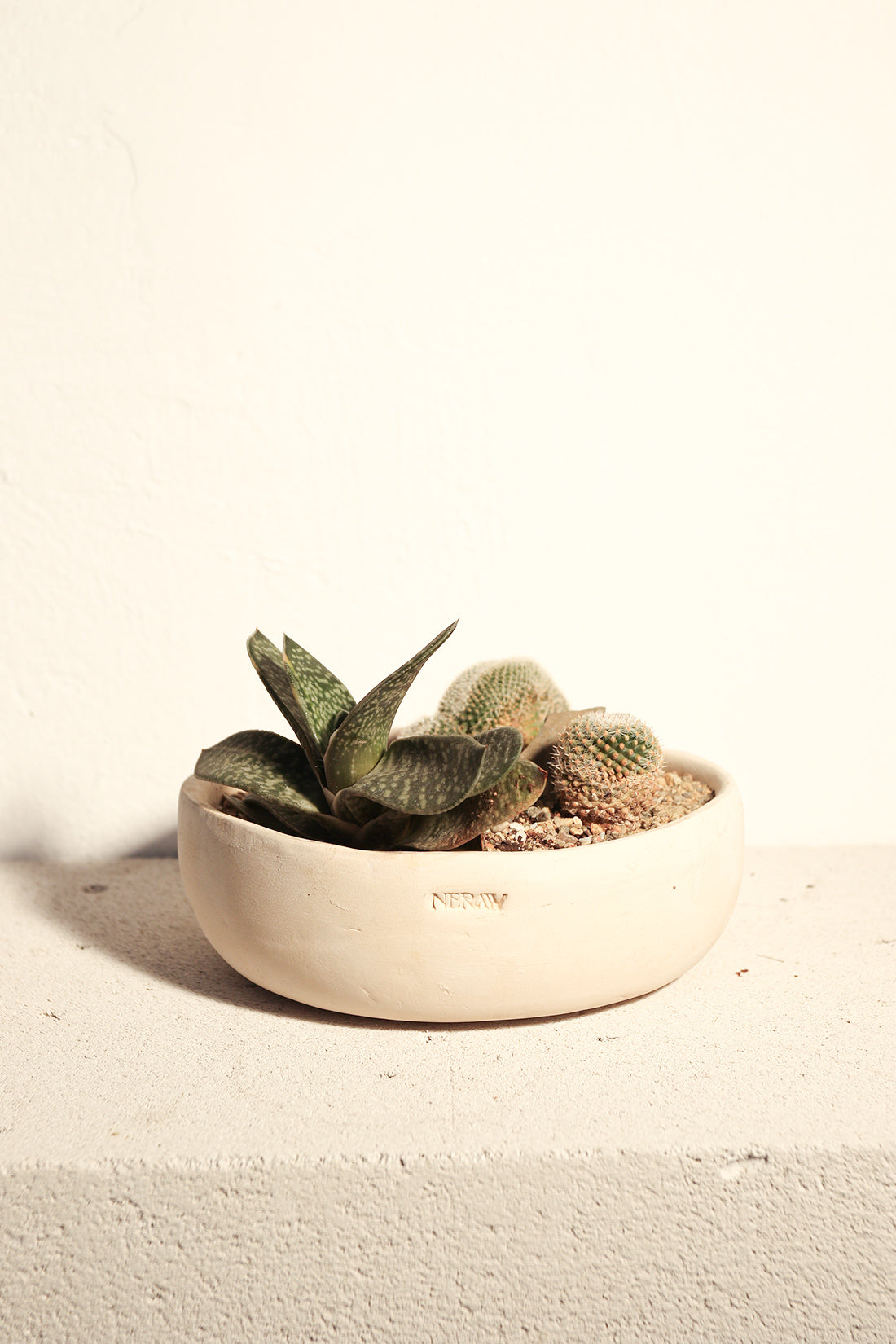 Monochrome Rock Garden