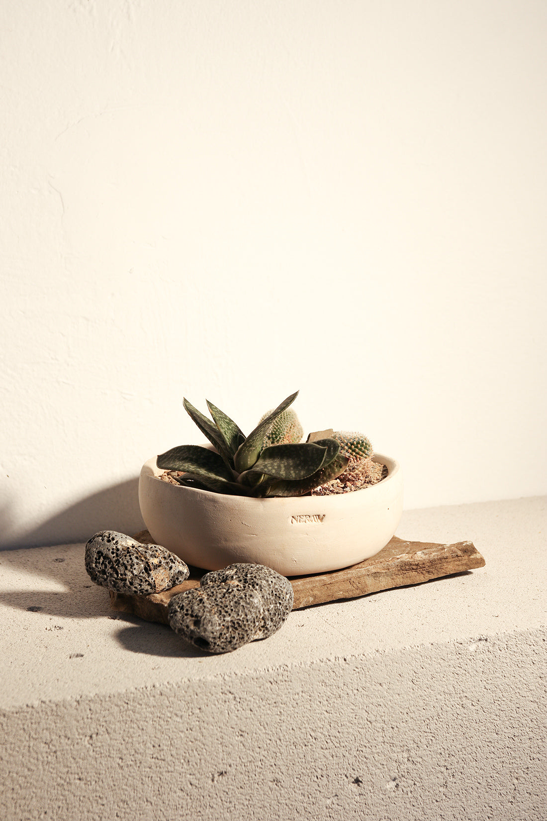 Monochrome Rock Garden