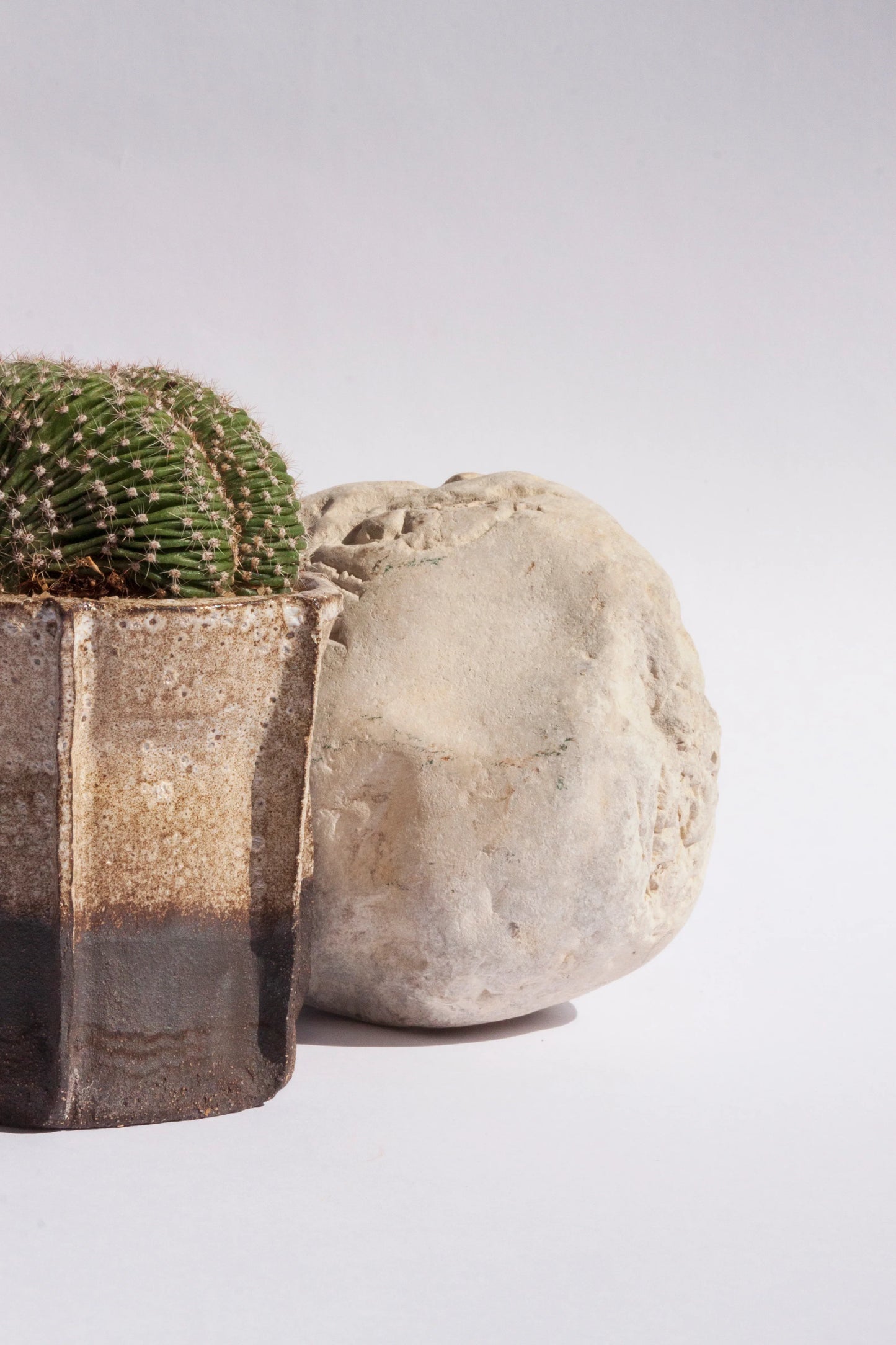 Echinopsis Eyriesii Cristata