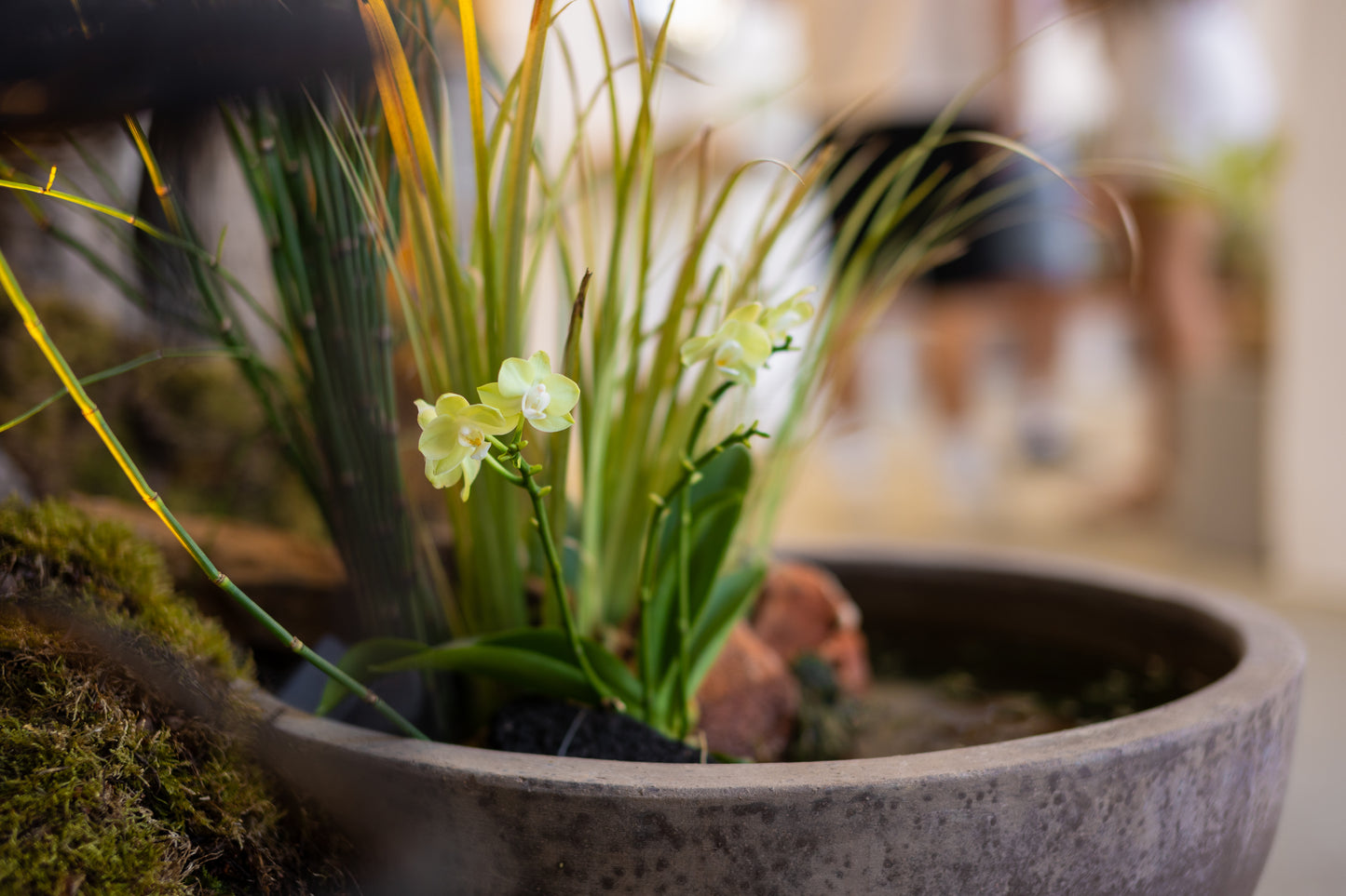 Moss Hill & Pond – Sustainable Ecosystem