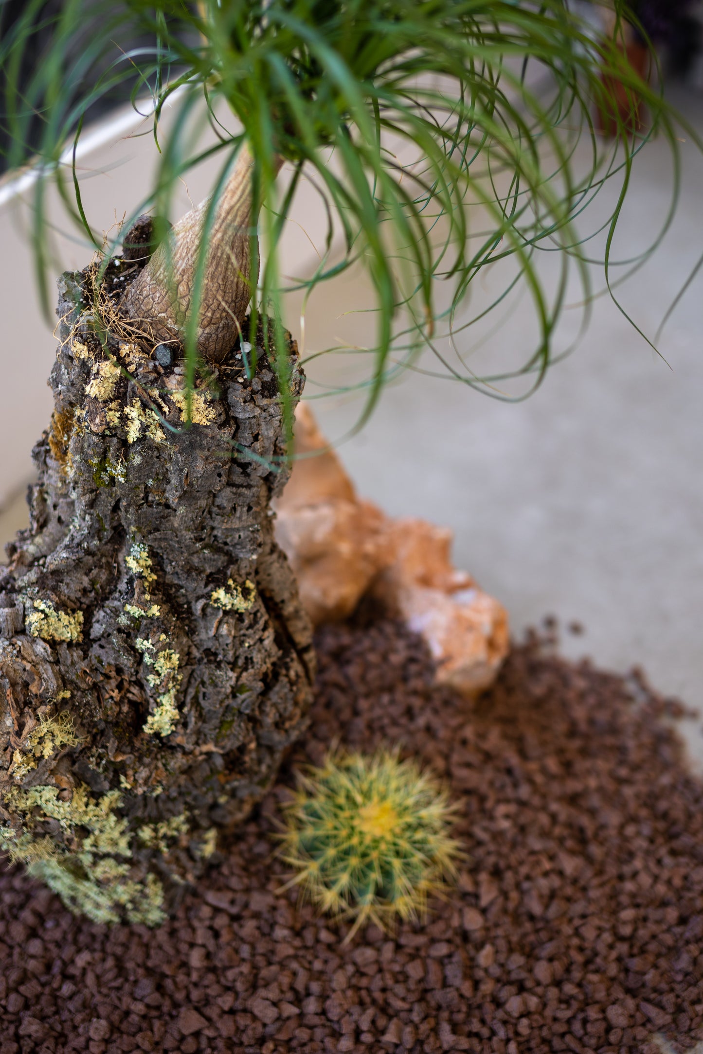 Ancient Earth: Sculptural Desert Installation