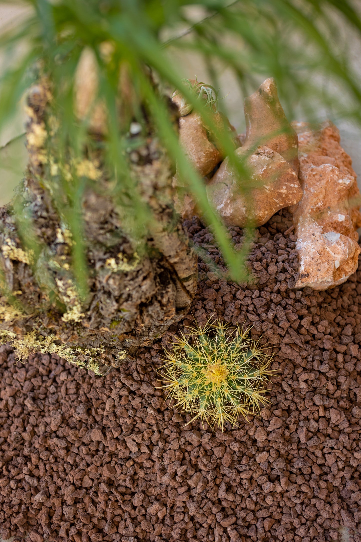Ancient Earth: Sculptural Desert Installation