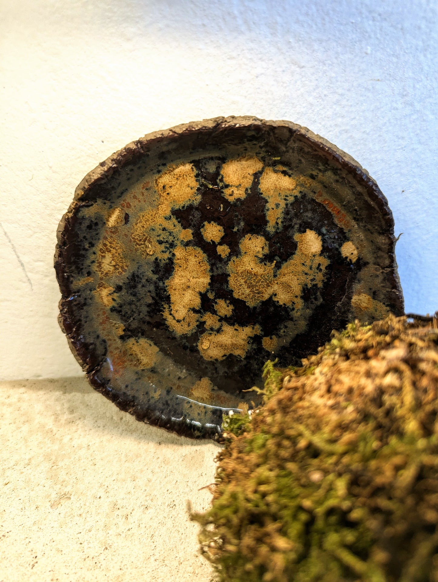 Kokedama Asparagus & Ceramic Plate