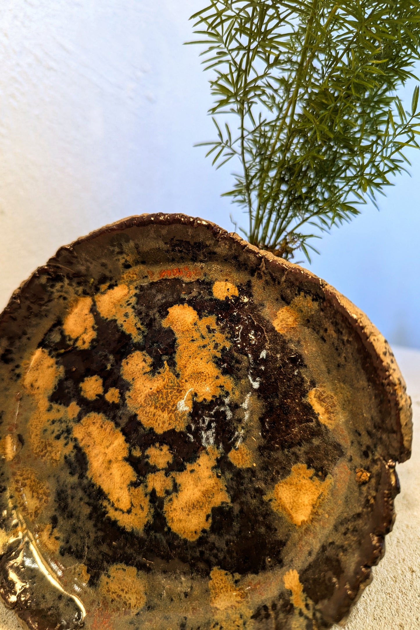 Kokedama Asparagus & Ceramic Plate