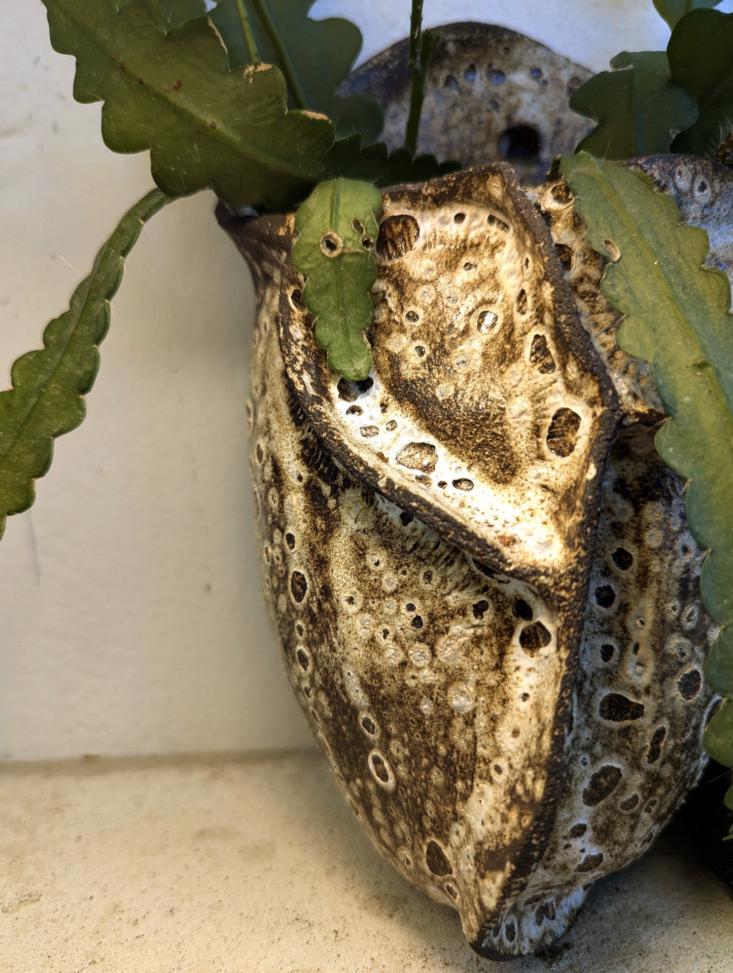 Epiphyllum Anguliger Wall Mounted Ceramic