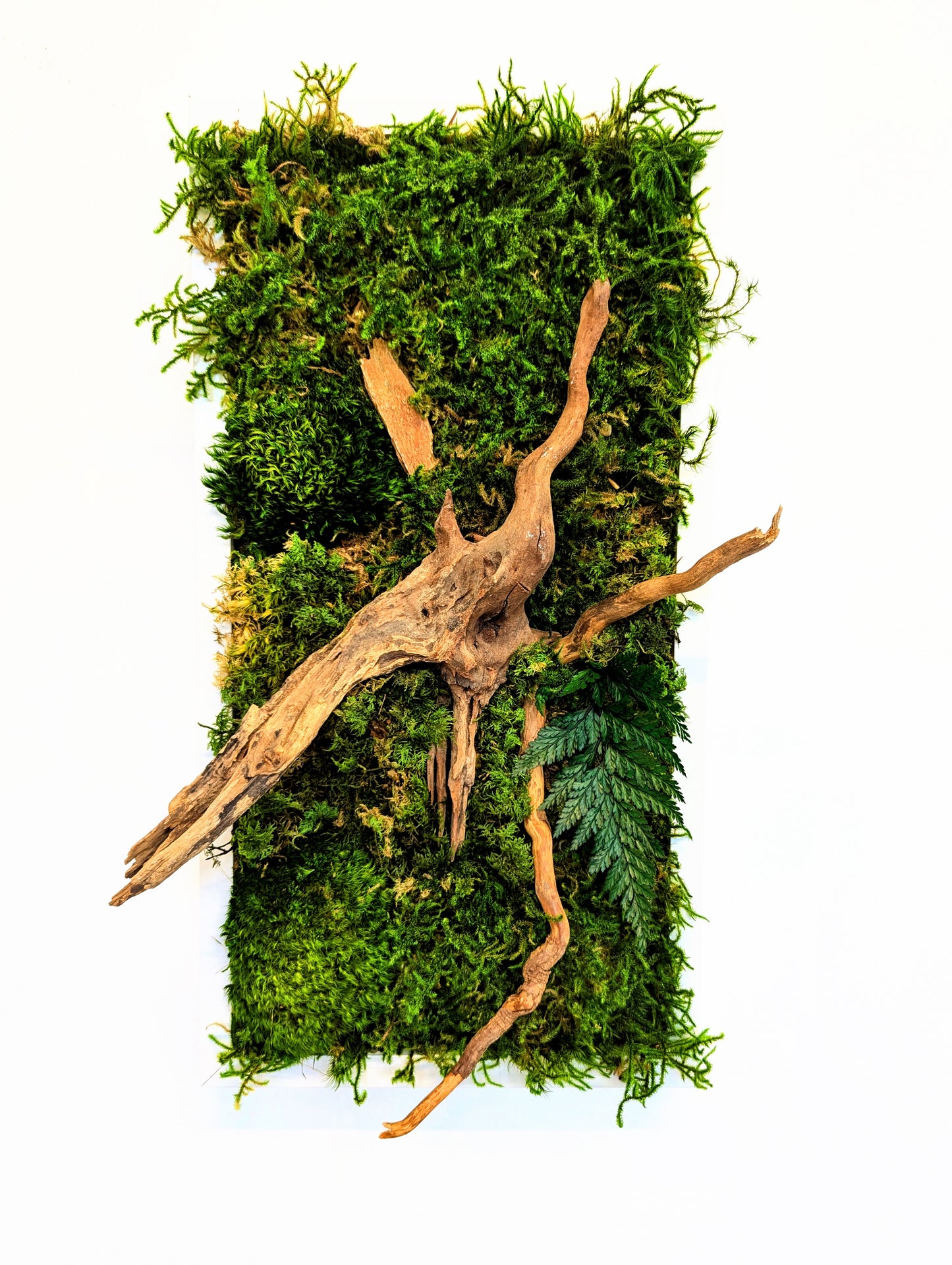 Botanical Frame: Forest Roots