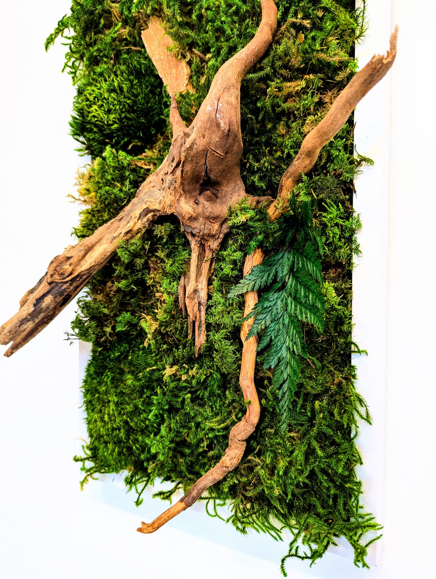 Botanical Frame: Forest Roots