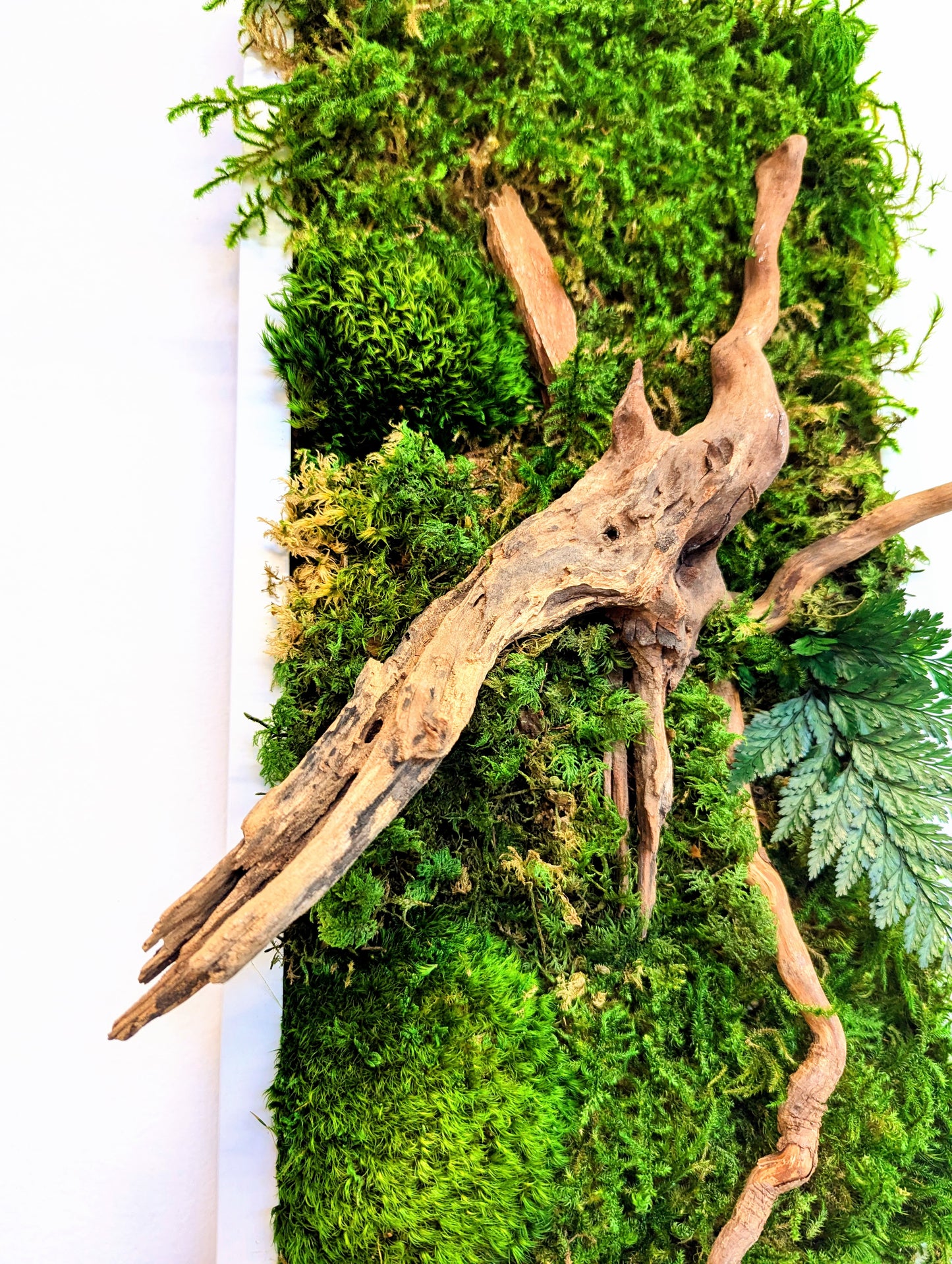 Botanical Frame: Forest Roots