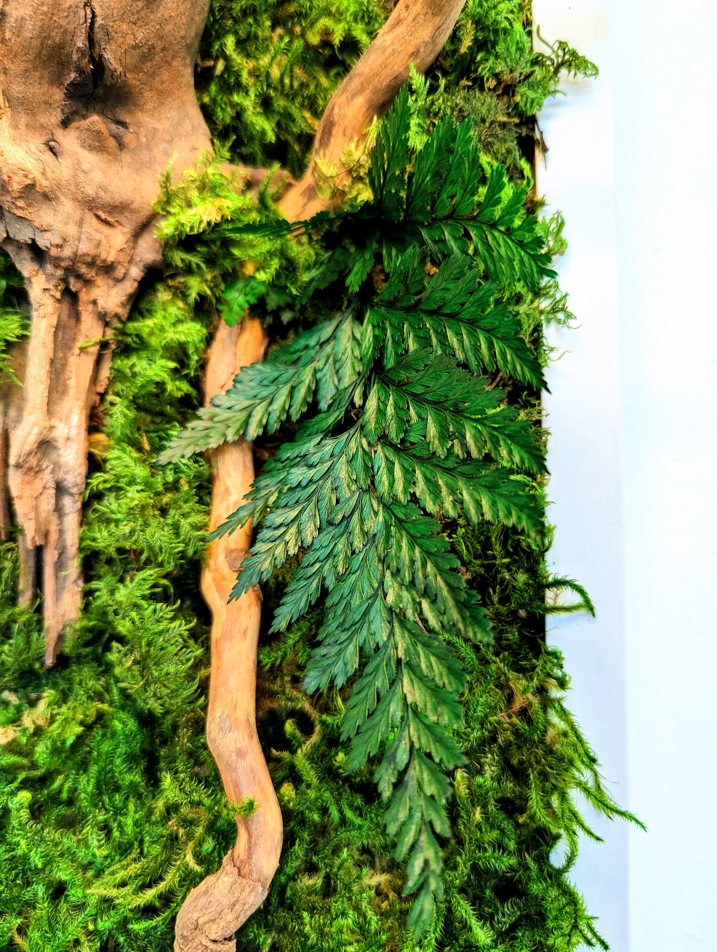 Botanical Frame: Forest Roots