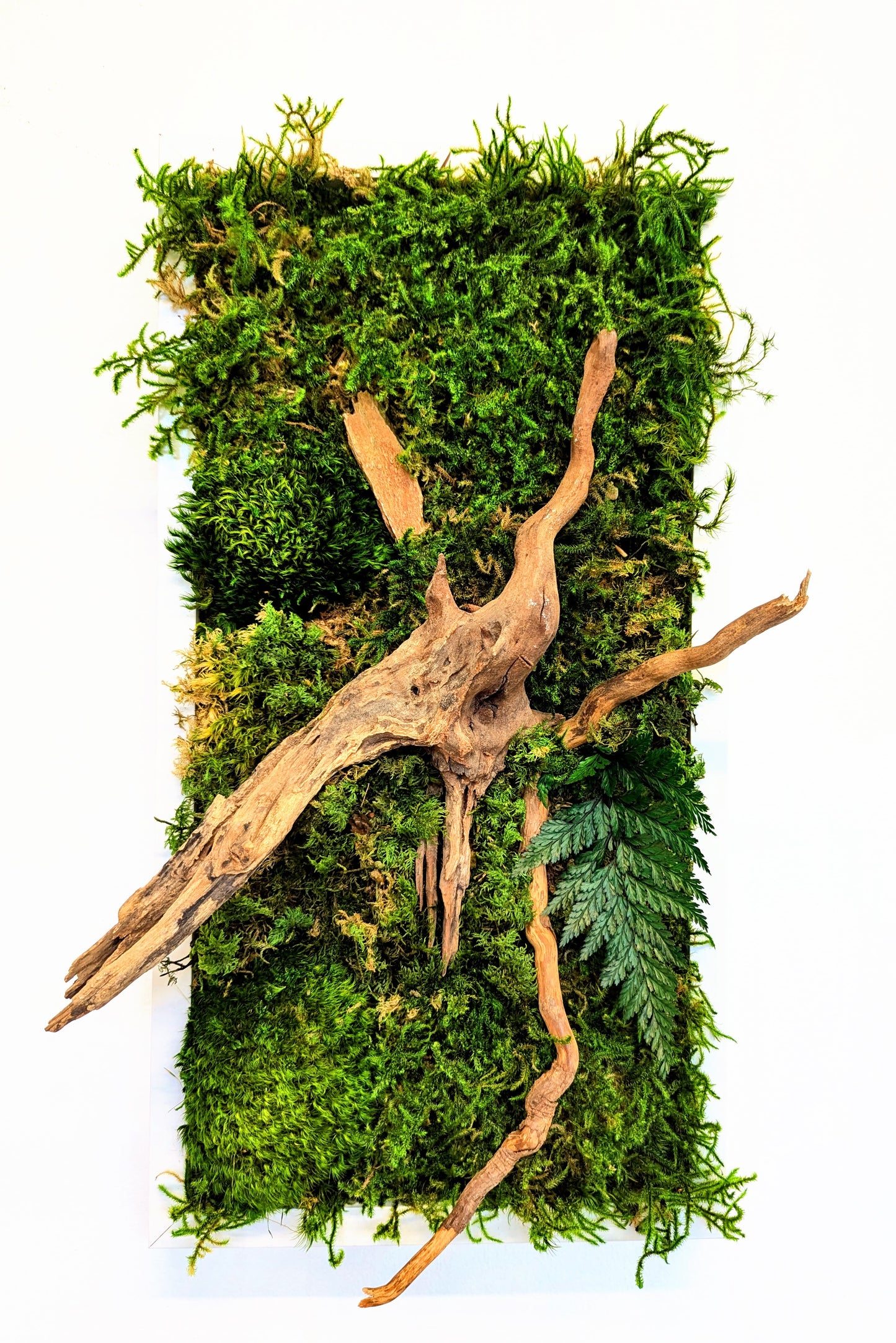 Botanical Frame: Forest Roots