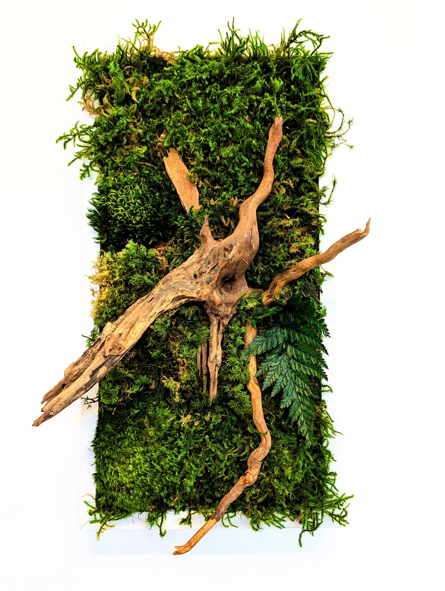 Botanical Frame: Forest Roots