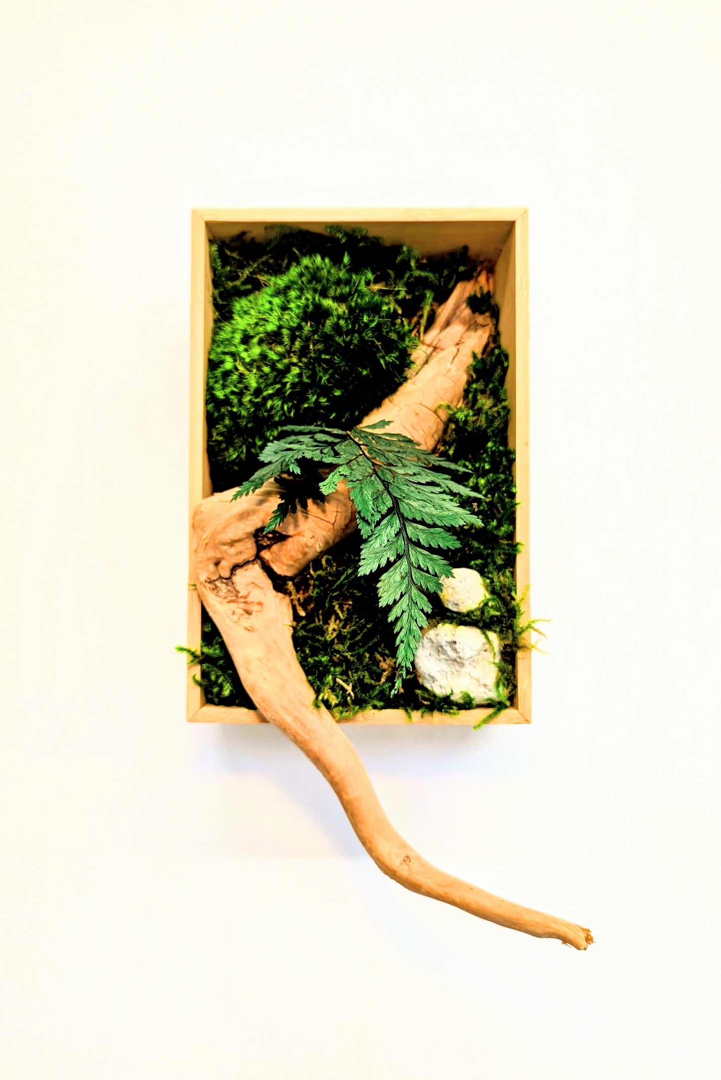 Botanical Frame: Wood