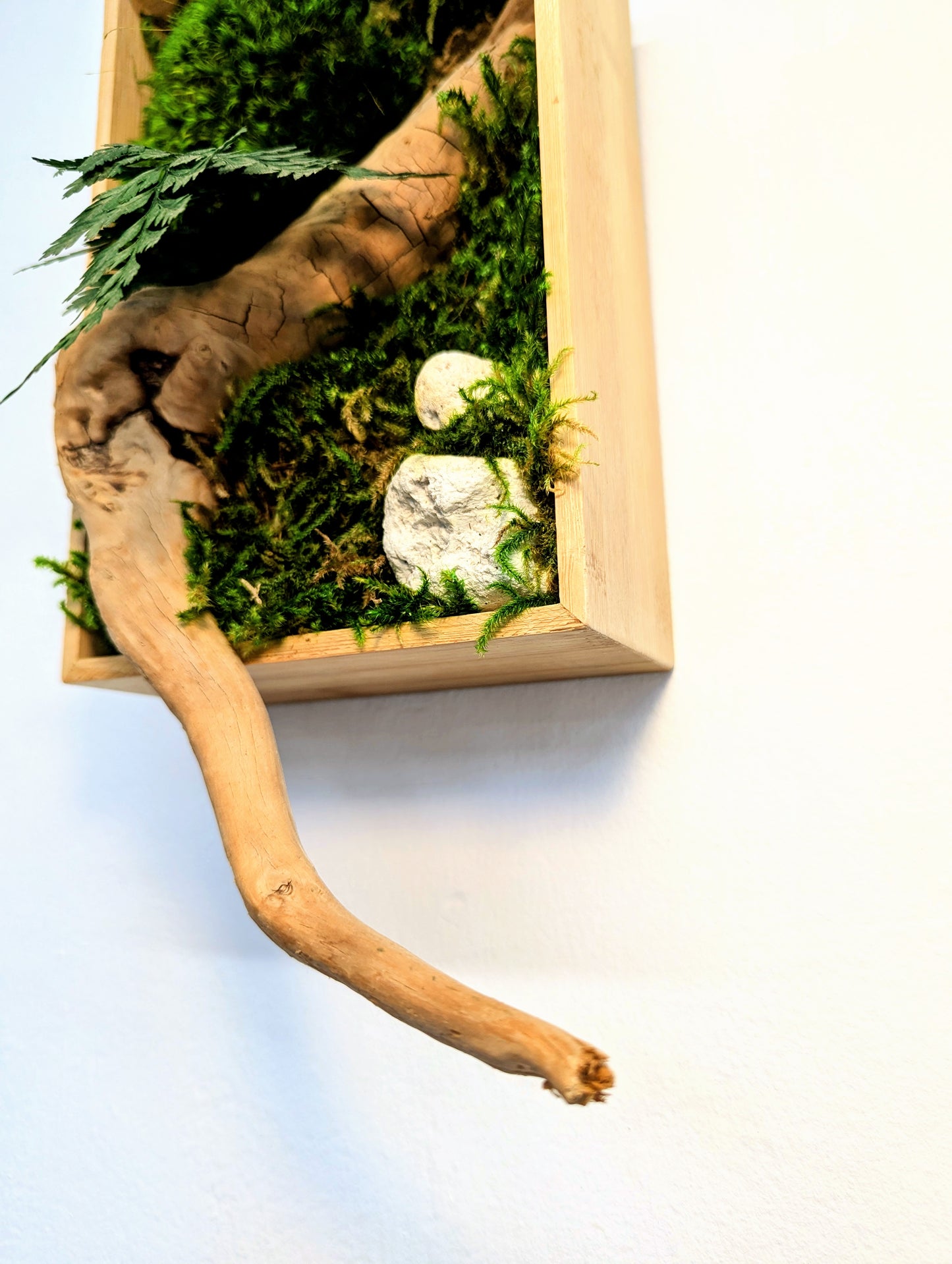 Botanical Frame: Wood