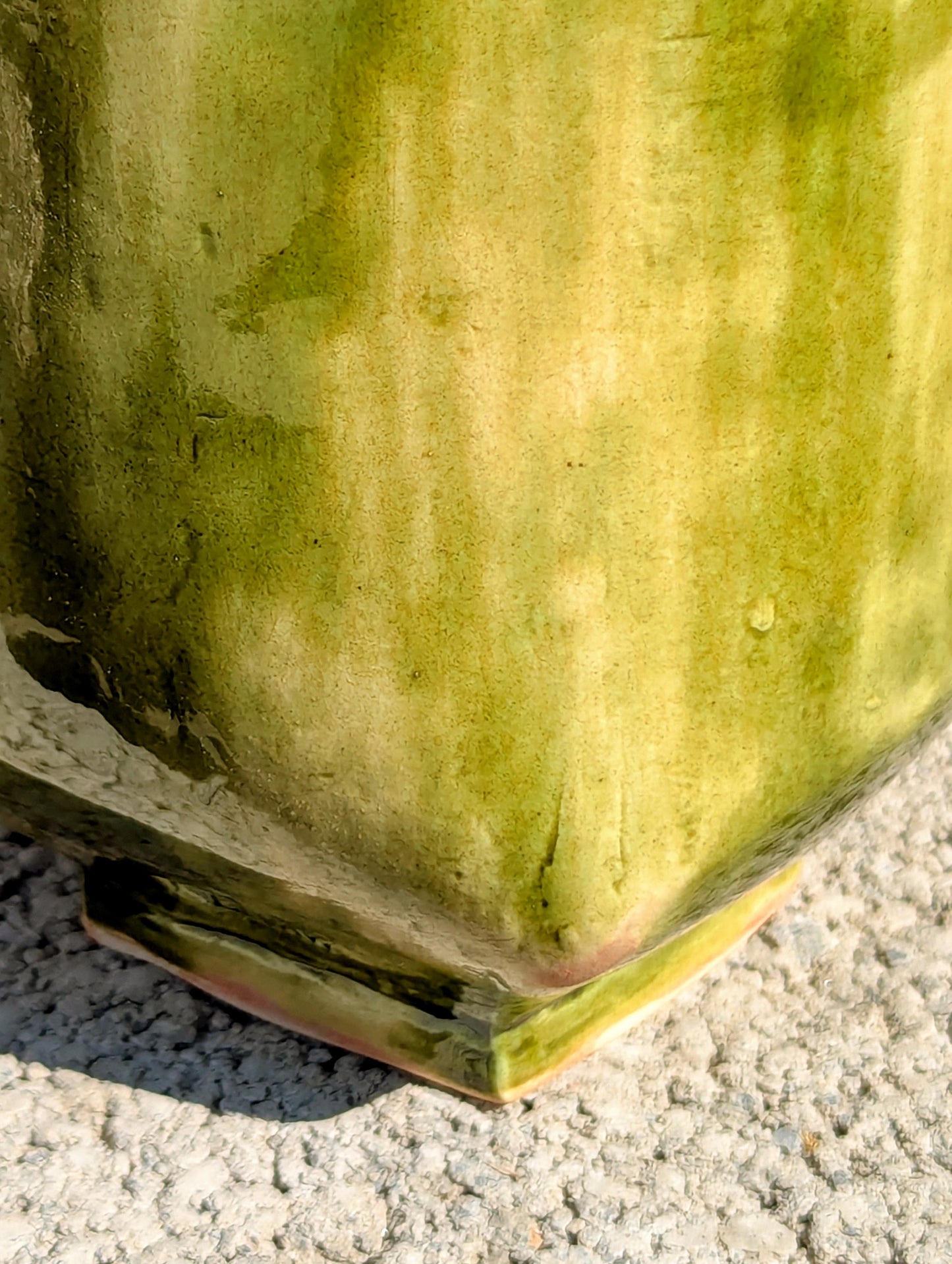 Crassula Buddha's Temple