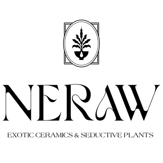 Neraw Digital Gift Card