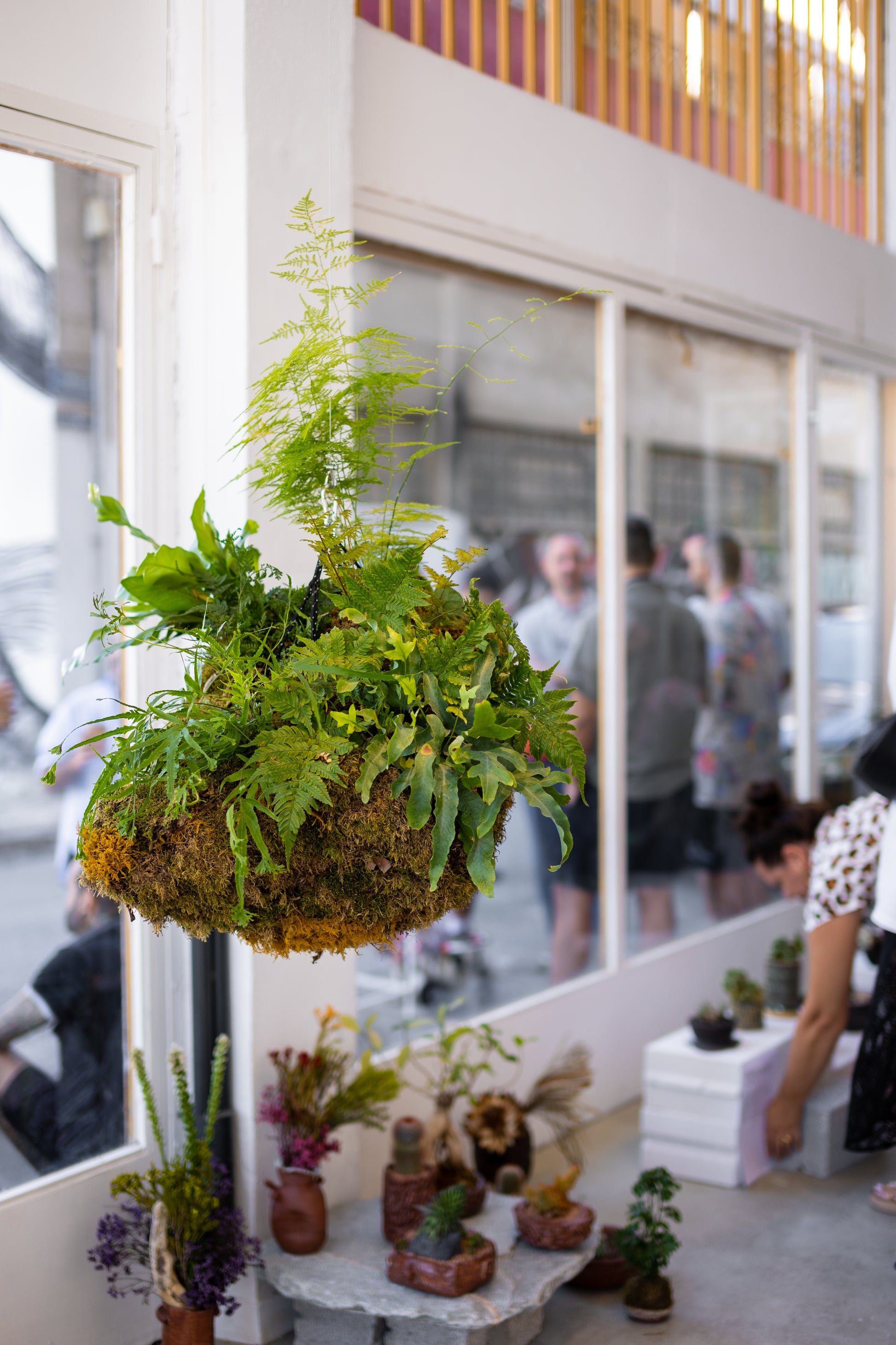 japanese hanging plants Floating Kokedama Installation