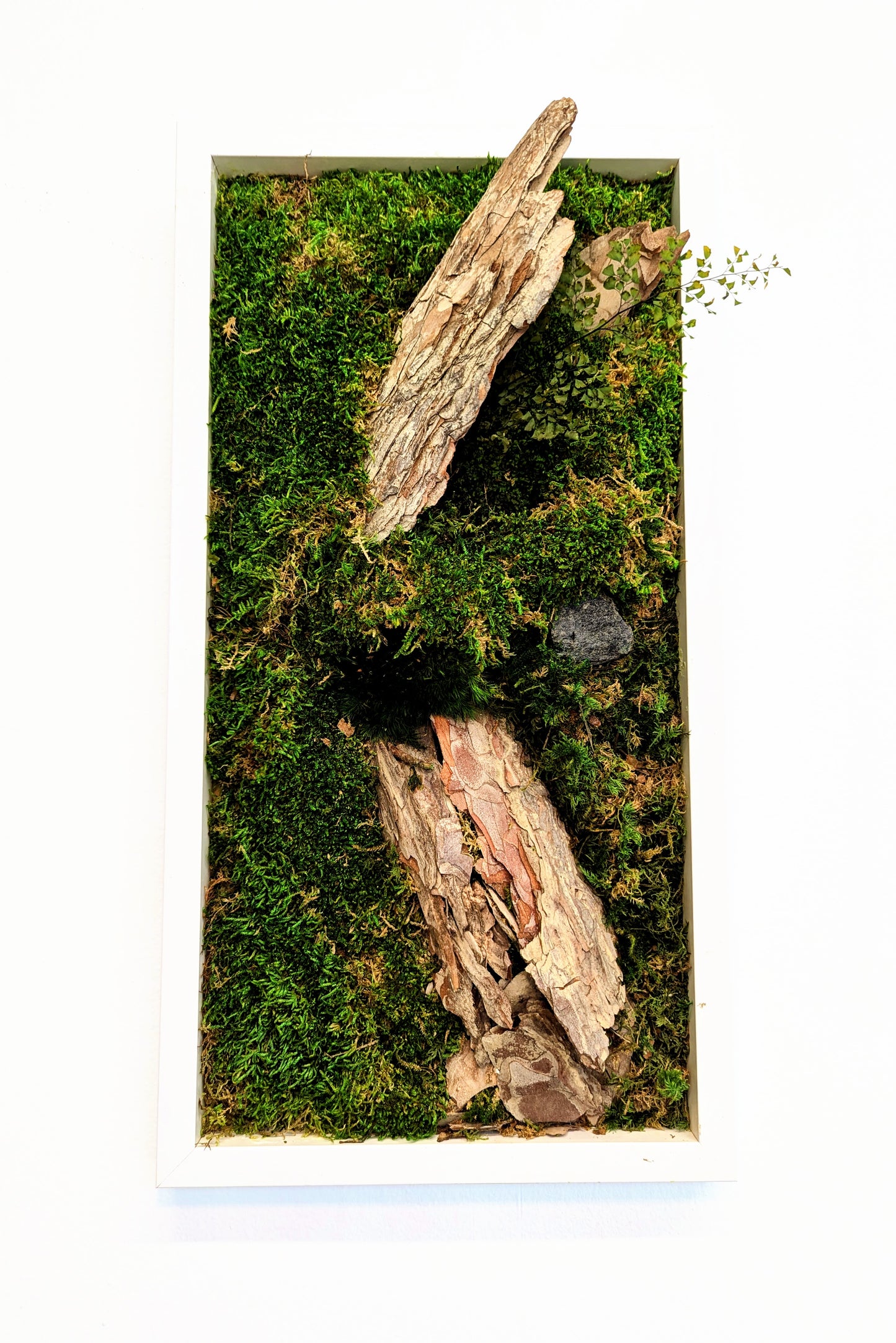 Botanical Frame: Forest Tree