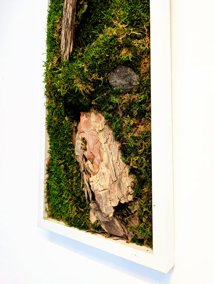 Botanical Frame: Forest Tree