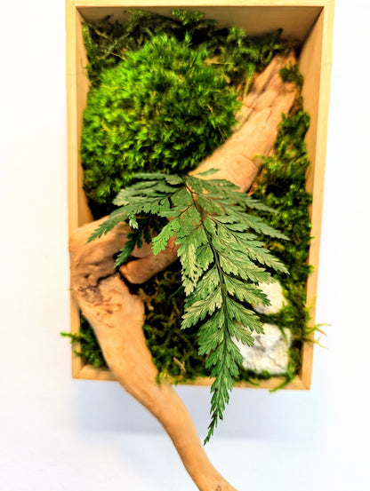 Botanical Frame: Wood