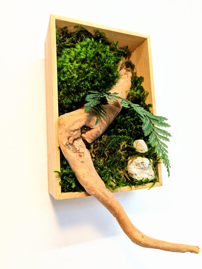 Botanical Frame: Wood