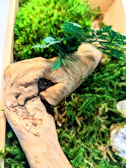 Botanical Frame: Wood