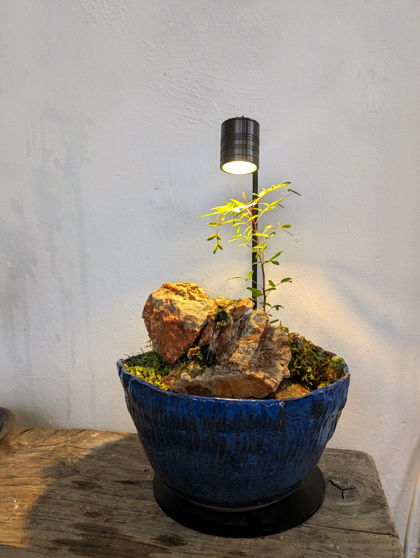 Waterfall in a Ceramic Bowl
