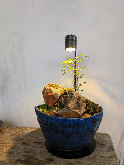 Waterfall in a Ceramic Bowl