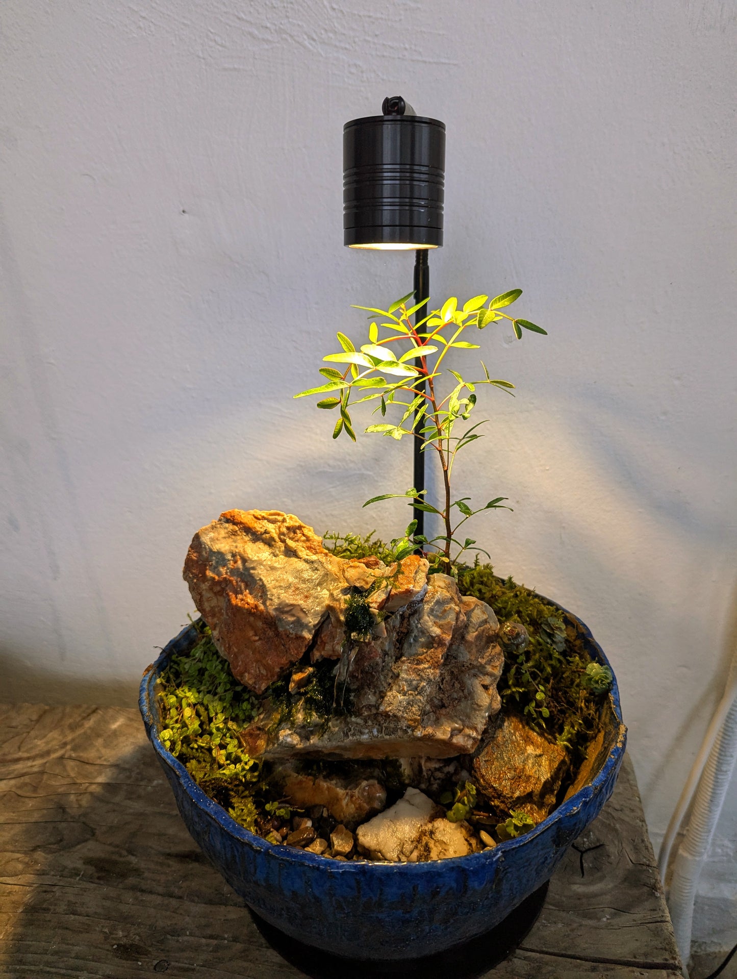 Waterfall in a Ceramic Bowl
