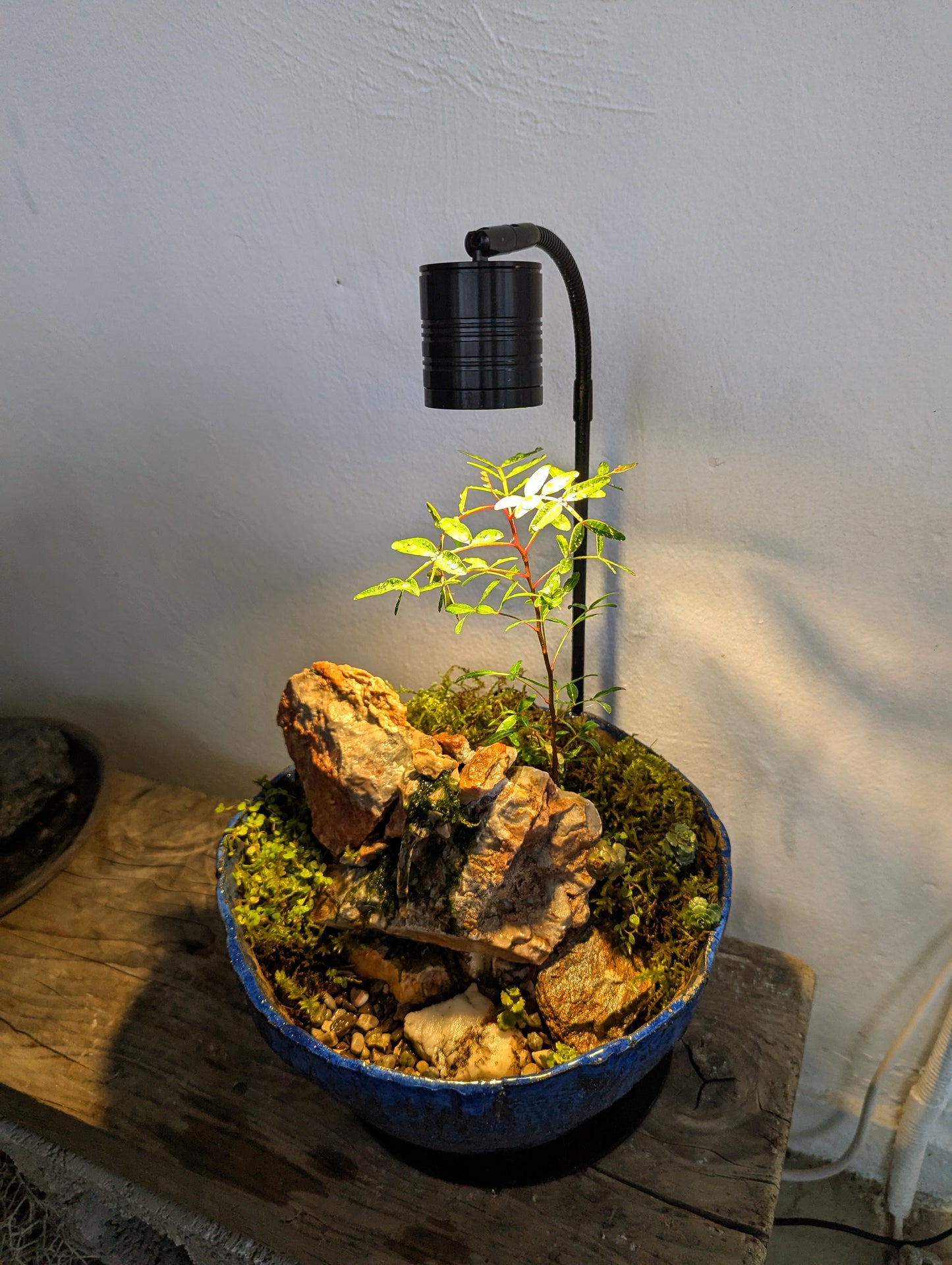 Waterfall in a Ceramic Bowl