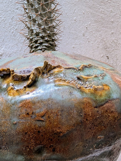 Pachypodium Lamerei Tree