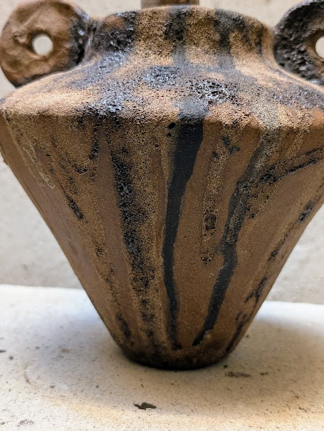 Phyllanthus Mirabilis