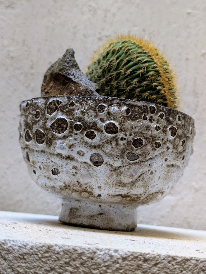 Echinocactus Cristata Rock Garden