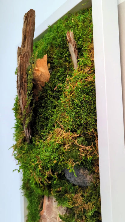 Botanical Frame: Forest Tree