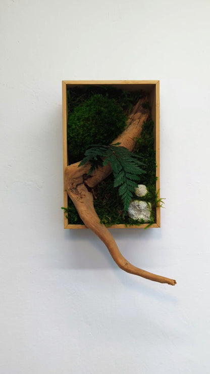 Botanical Frame: Wood